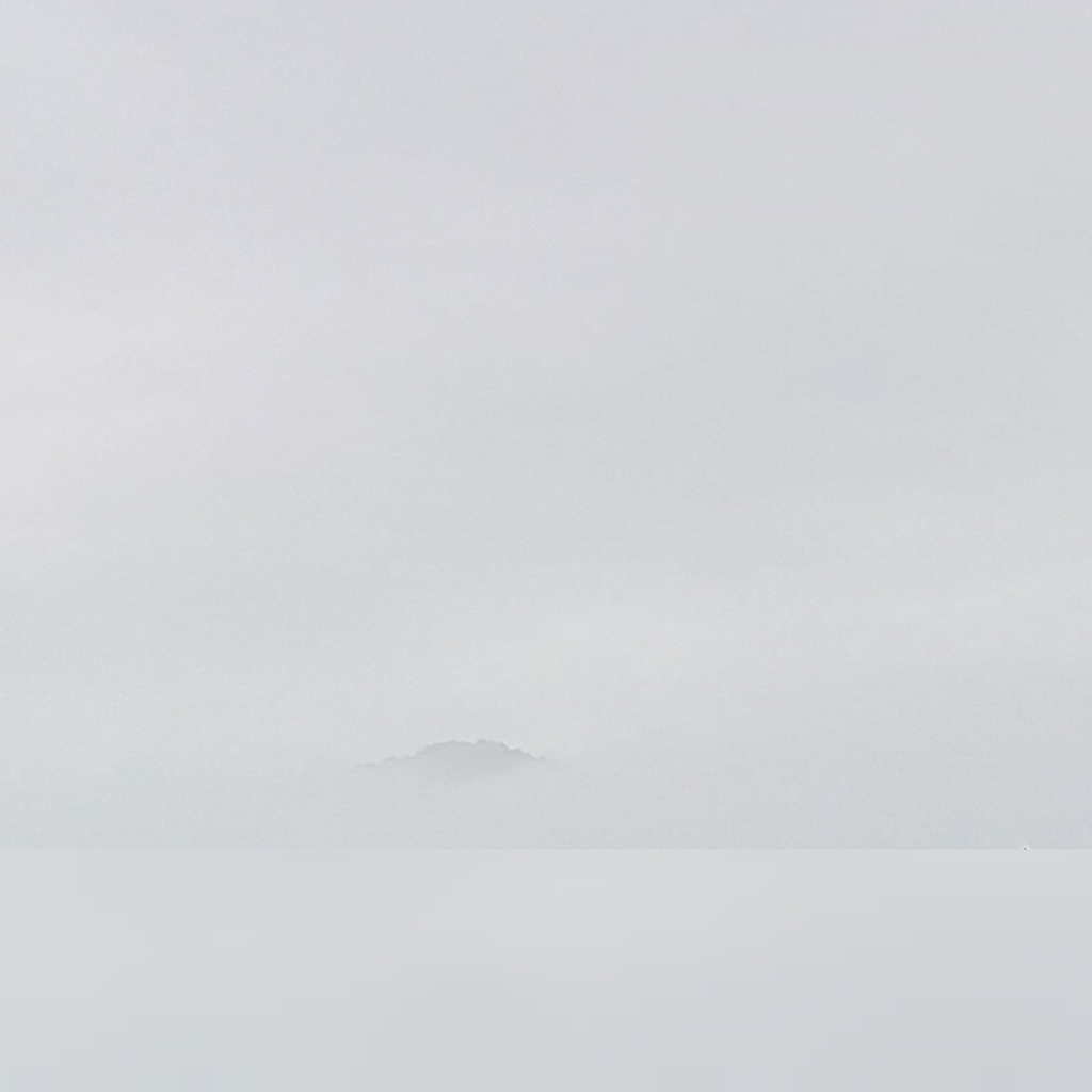 白い中。