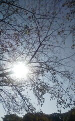 IMG_20231101_160739