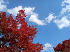 IMG_20231128_114249