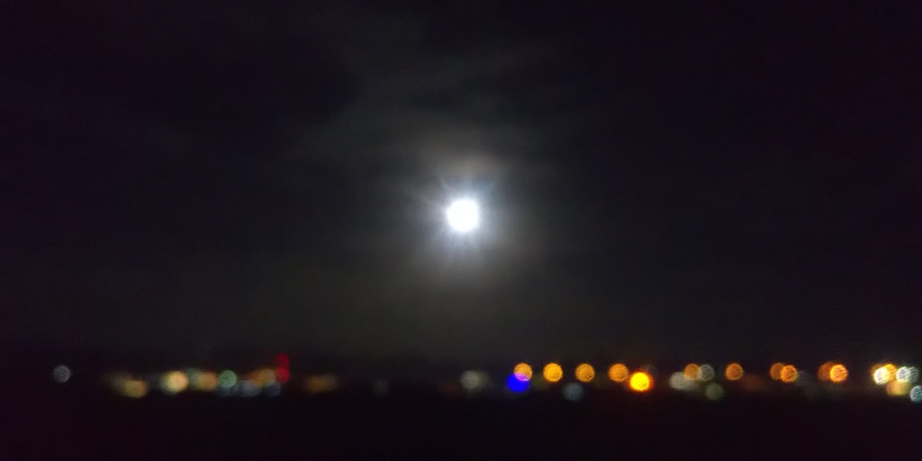 DSC_0003