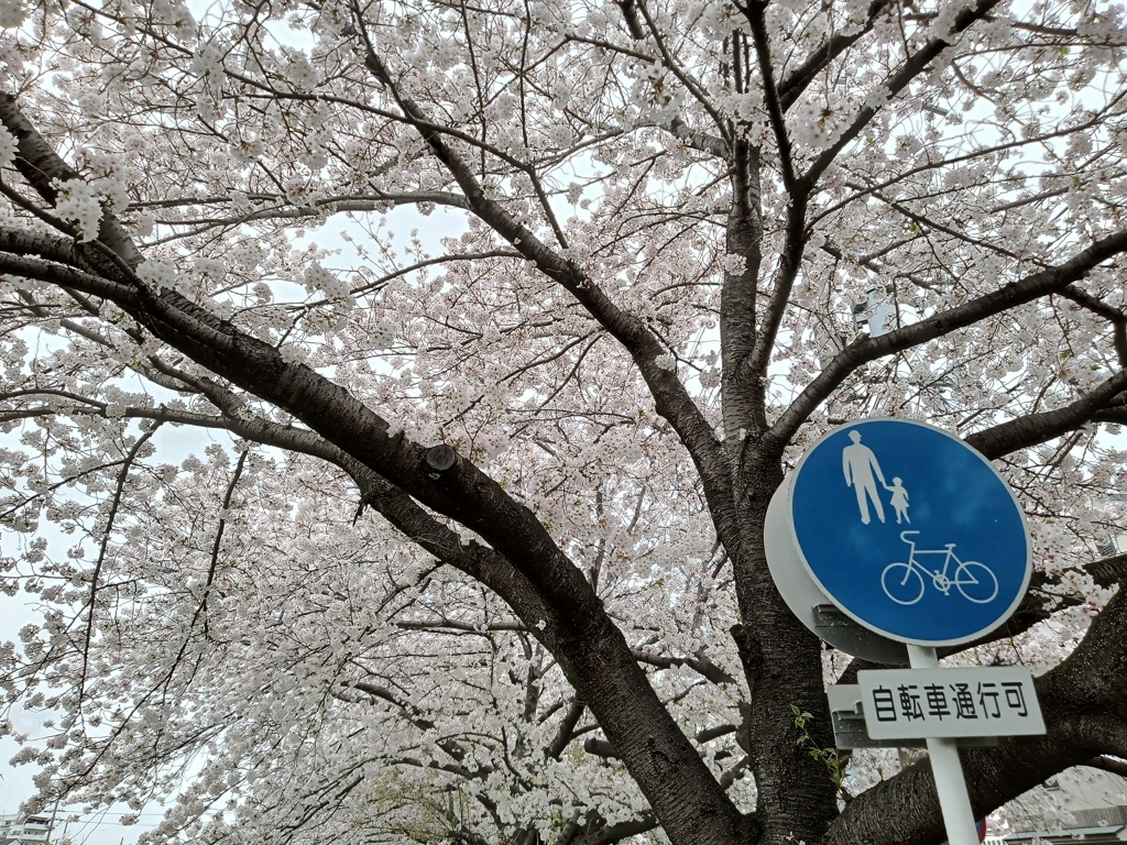 自転車でゆっくりと