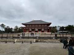 興福寺　外国人いっぱい。