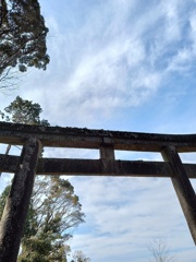 気持ちいい空。