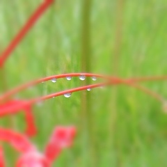 IMG_20231027_030539