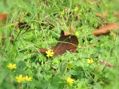 IMG_20231027_174403