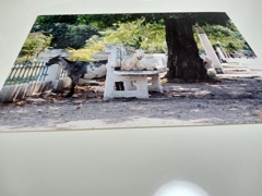 IMG_20240113_194038