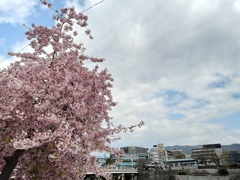 京都三条大橋