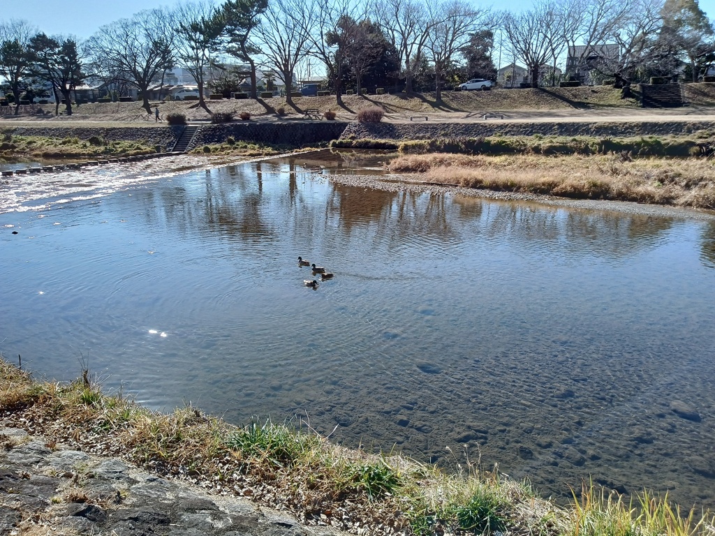 ゆっくり、のんびりでもいい。