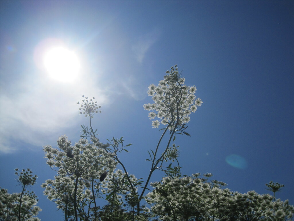 IMG_0281
