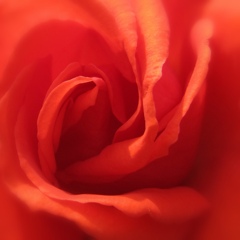 IMG_20231027_170856
