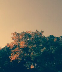 IMG_20231105_142338