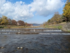IMG_20231128_113240