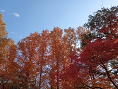IMG_20231128_115057