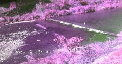 IMG_20231105_141902