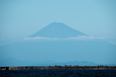 御前崎港からみた富士山
