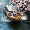 遊覧船と桜