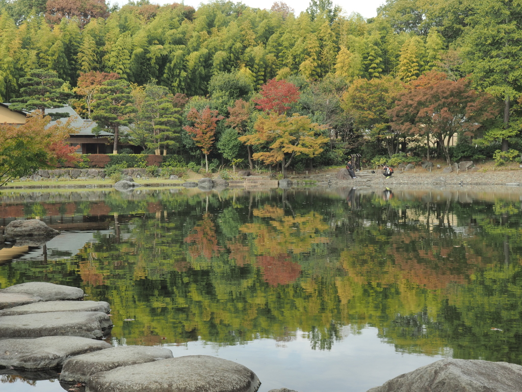 昭和記念日本庭園