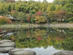 昭和記念日本庭園