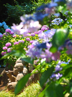 羅漢像と紫陽花