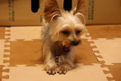 20231129203128_6E6A0148