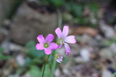 20230618142252_6E6A5255