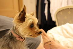 20230607230912_6E6A5121