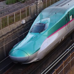 IMG_20231116_205503_309