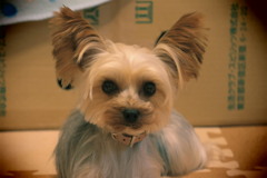 20231129203113_6E6A0144