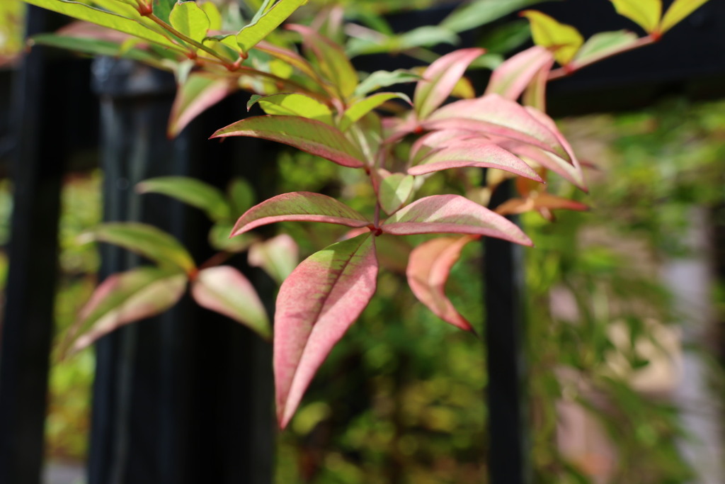 20230618142211_6E6A5254