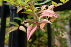 20230618142211_6E6A5254