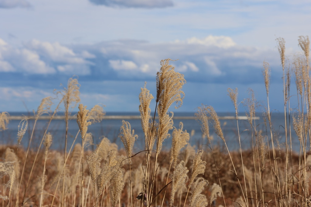 20231218125951_6E6A0111