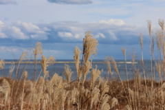 20231218125951_6E6A0111