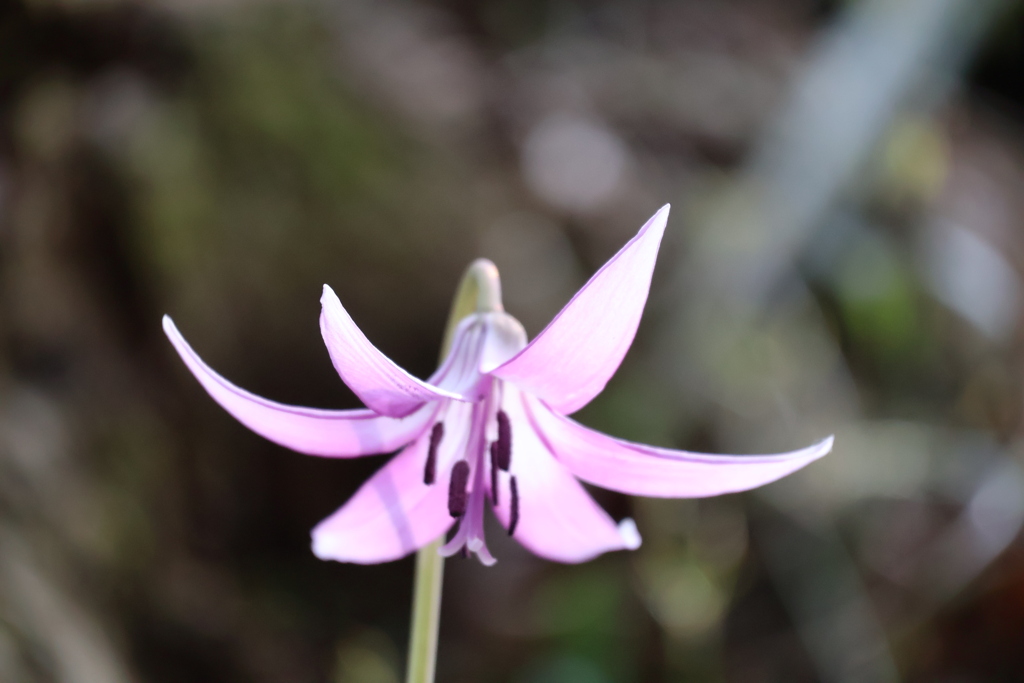 陽を浴びて･･･