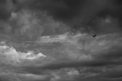 TK1_0903