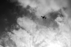 TK7_3492