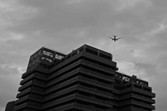 TK1_0065