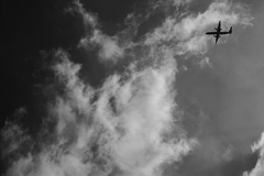 TK7_3083