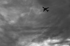 TK7_0653