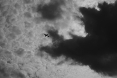 TK7_3724