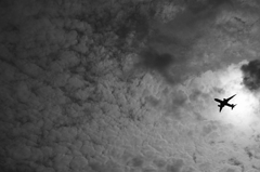 TK7_3767