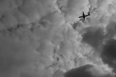 TK7_3702
