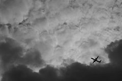 TK7_3701