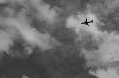 TK7_3794
