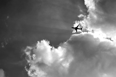 TK7_2733