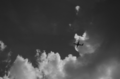 TK7_2779