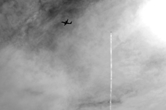 TK7_3648