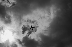 TK7_2977