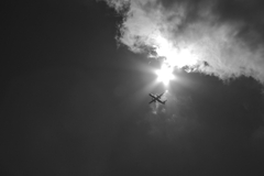 TK7_3572