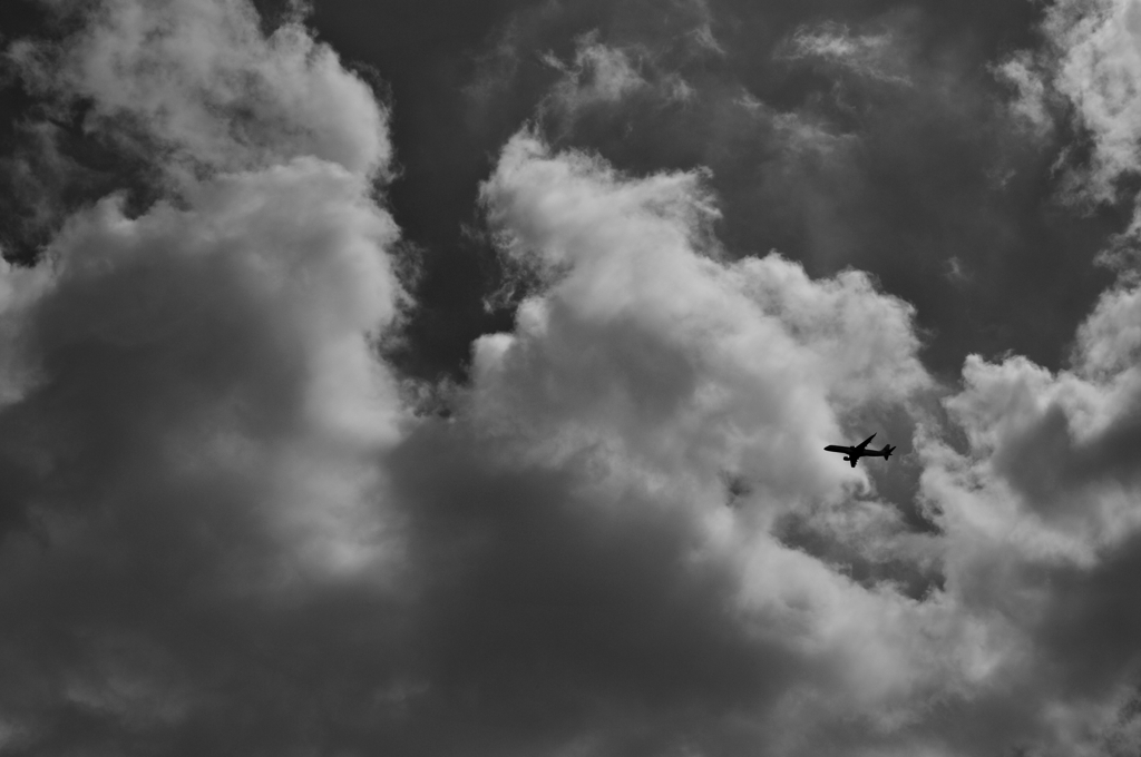 TK7_2811