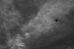 TK1_0748